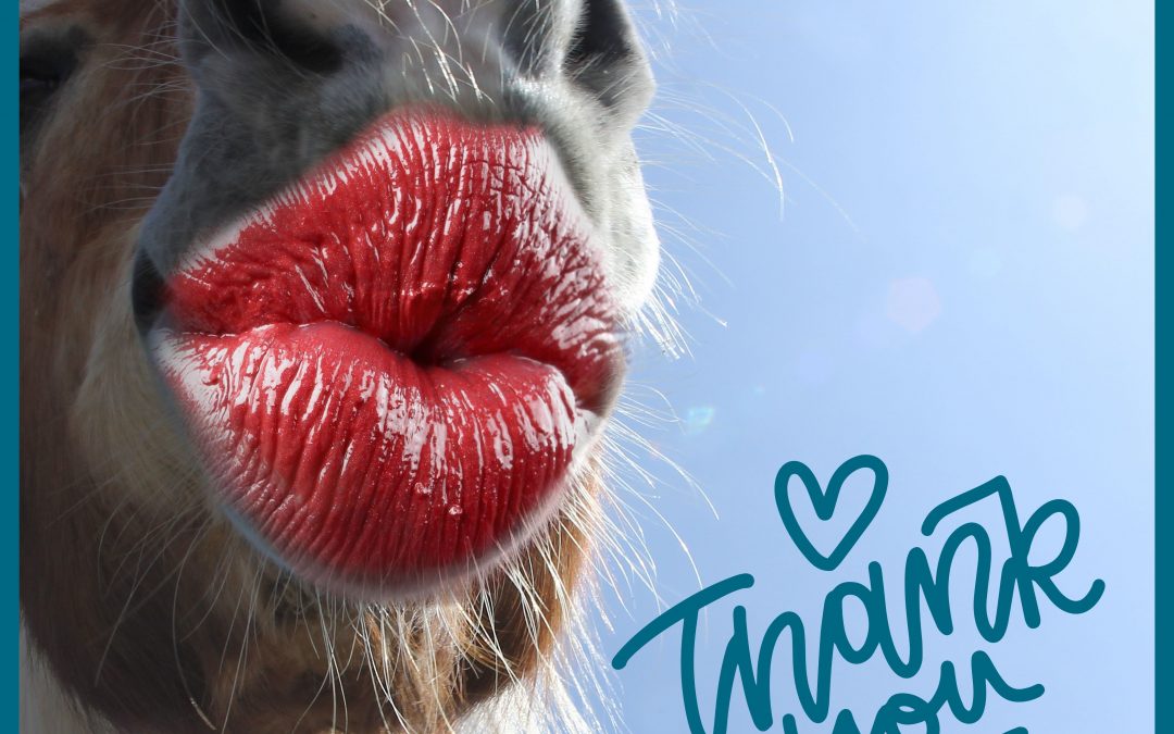 DANKE AN DICH ♥